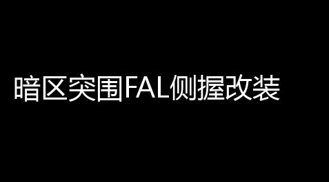 暗区突围FAL侧握改装计划，稳准狠带你飞！_战双帕弥什开挂神器